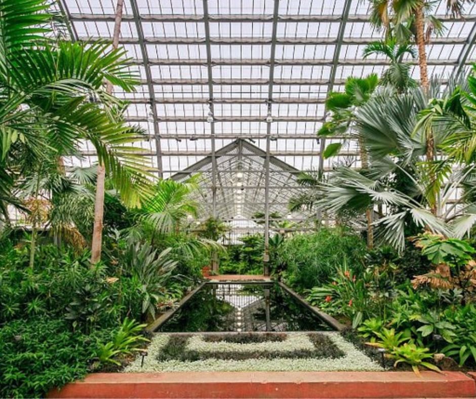 Escape the Crowds: 7 Stunning Green Spaces in Chicago That Aren't the Lakefront Trail